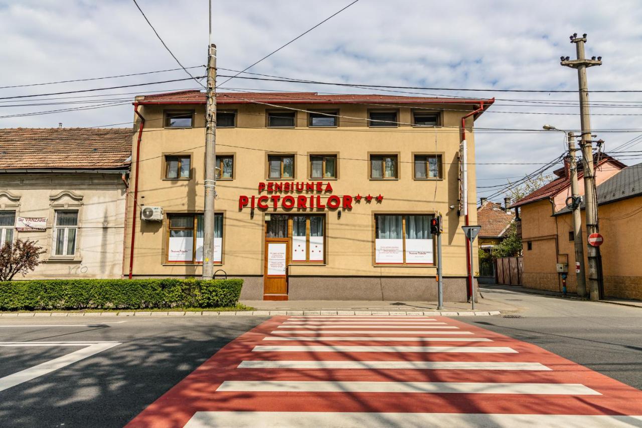 Pensiunea Pictorilor Baia Mare Exterior foto