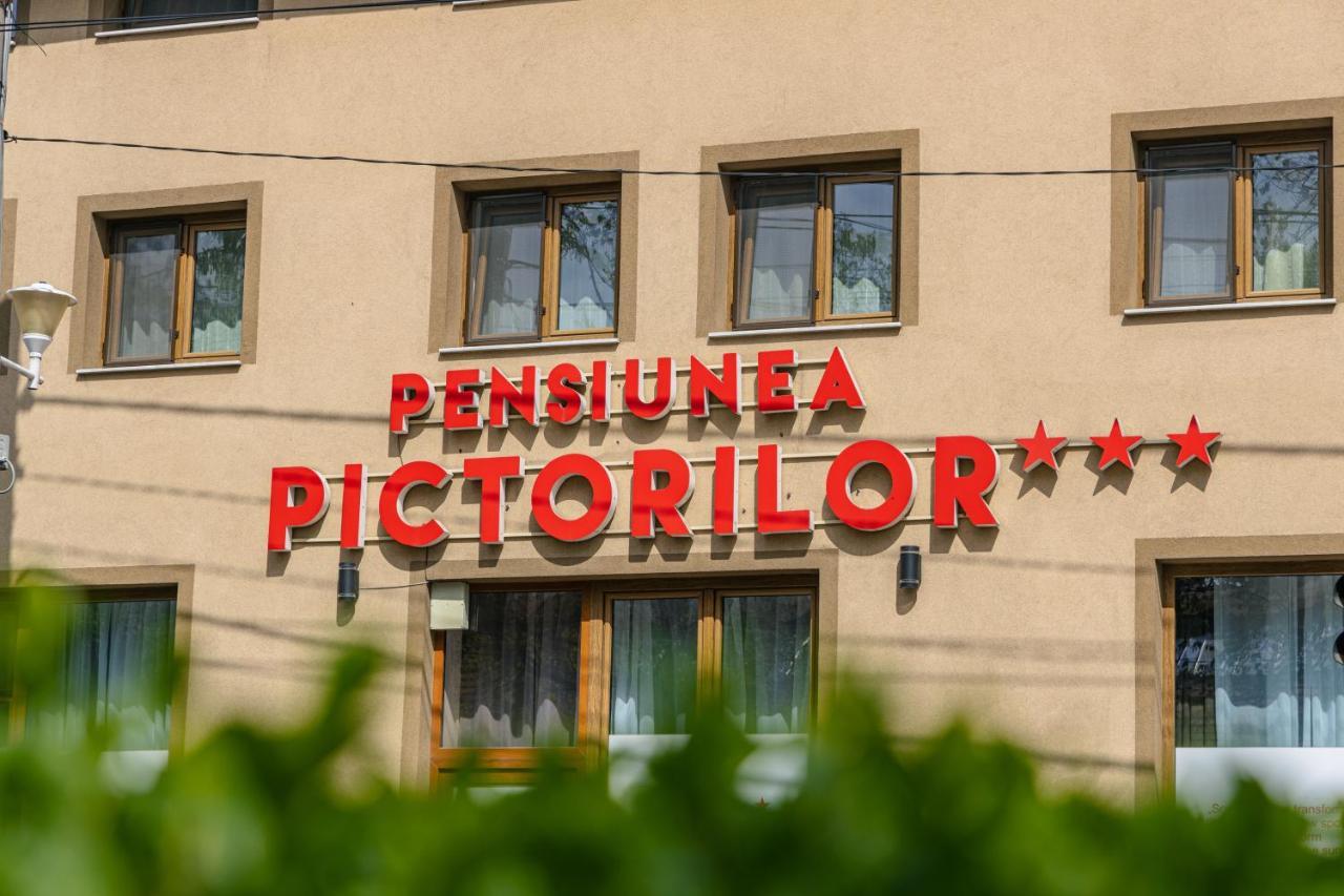 Pensiunea Pictorilor Baia Mare Exterior foto