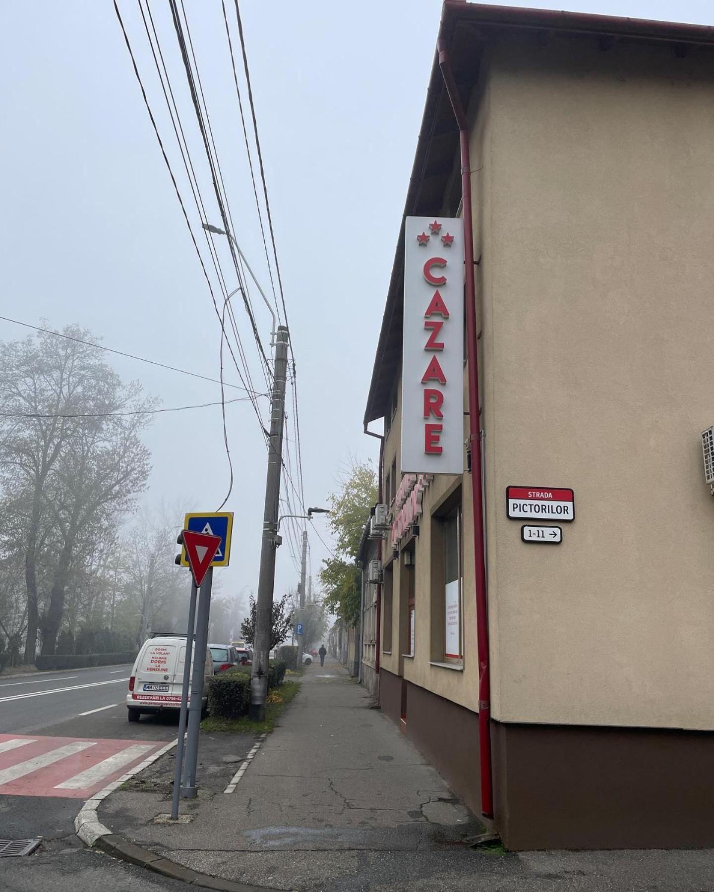 Pensiunea Pictorilor Baia Mare Exterior foto